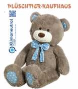 Grauer Teddy