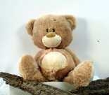 Teddybär