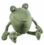 Janosch Kastenfrosch