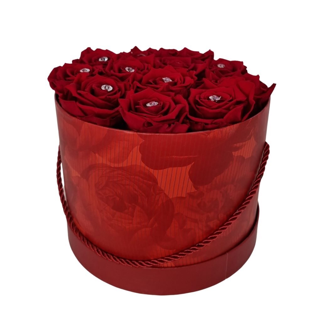 RoseAmor rot/rot