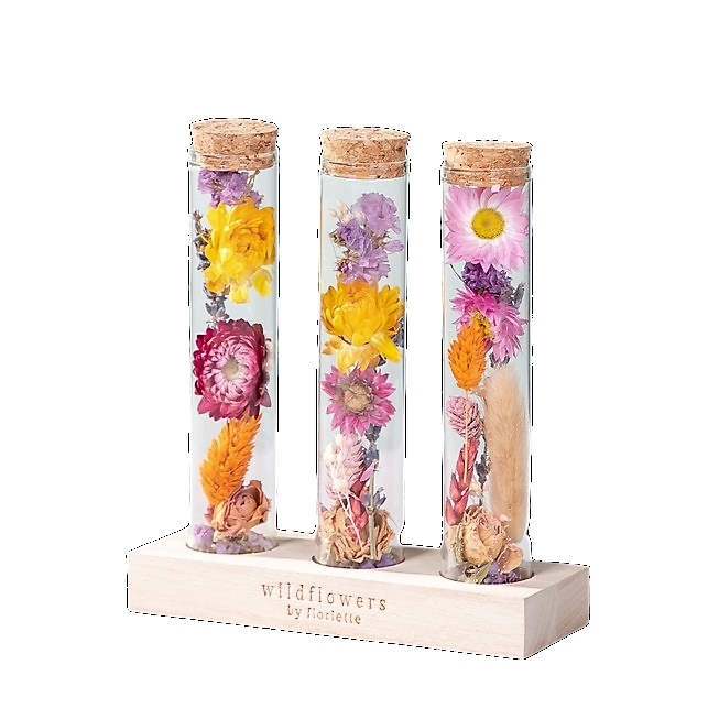 Getrocknete Blumen Flaschenpost