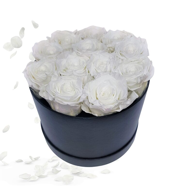 Rosenbox 12Xweiß