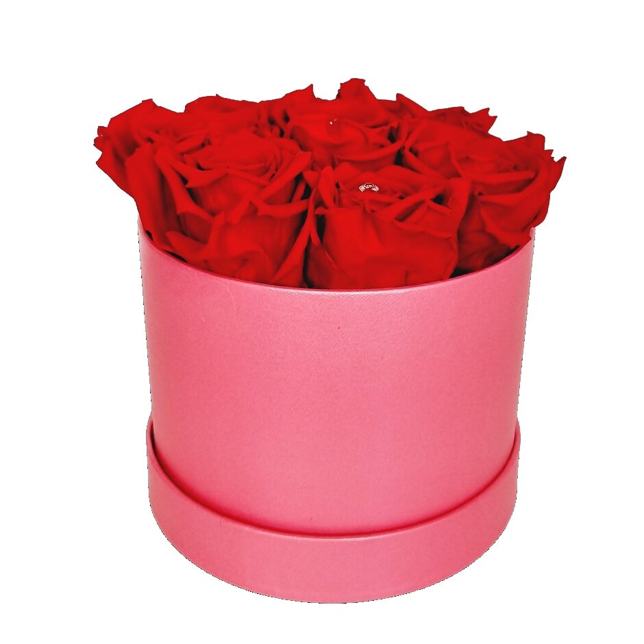 Rosebox 7x rot