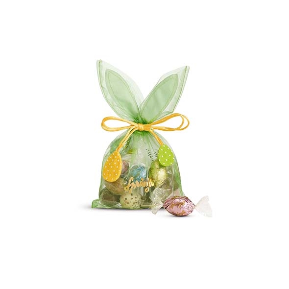 Organzasack Grün 110G