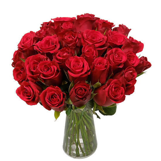 Roter Samt (30 Rosen)