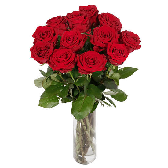 12 langstielige rote Rosen