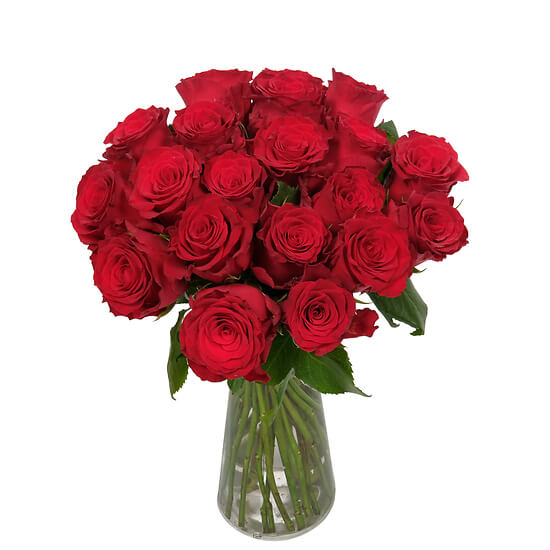 Roter Samt (20 Rosen)