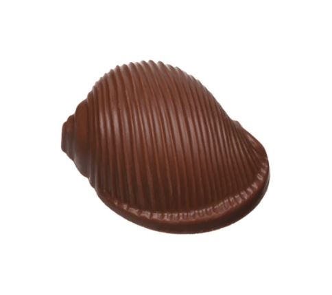 Schneckenmilchschokolade