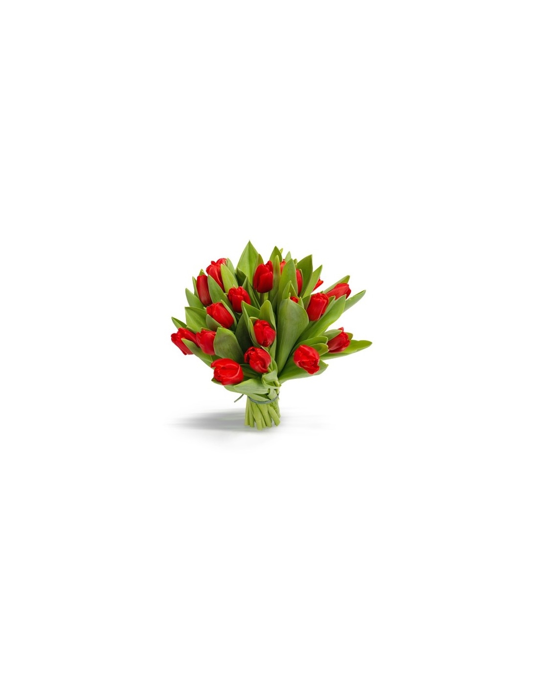 Springbasket (Small)