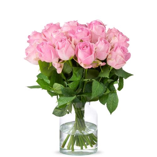 Rosa Rosen (40 cm)