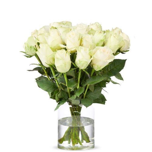 Weiße Rosen (klein)