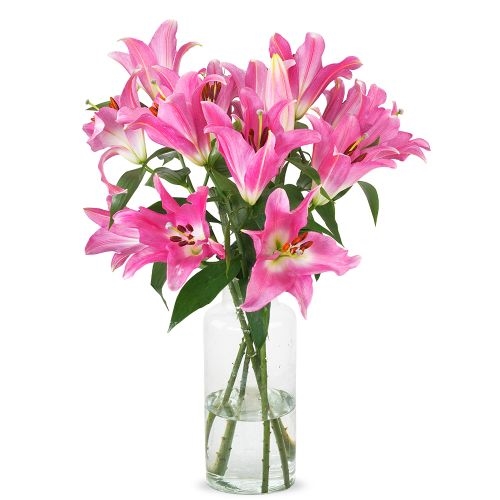 Lilies - Pink Oriental Lilies (Small)