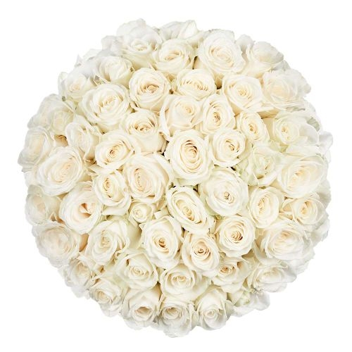 50 Premium-weiße Rosen