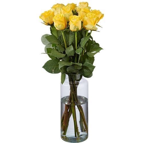 10 Premium-gelbe Rosen