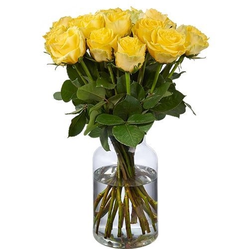 20 gelbe Rosen (50 cm)