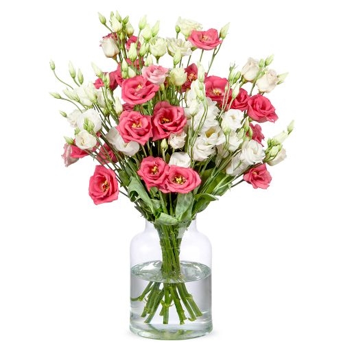 Bouquet Colette (Klein)