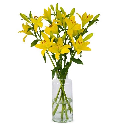 Lilien - Gelbe Lilien (klein)