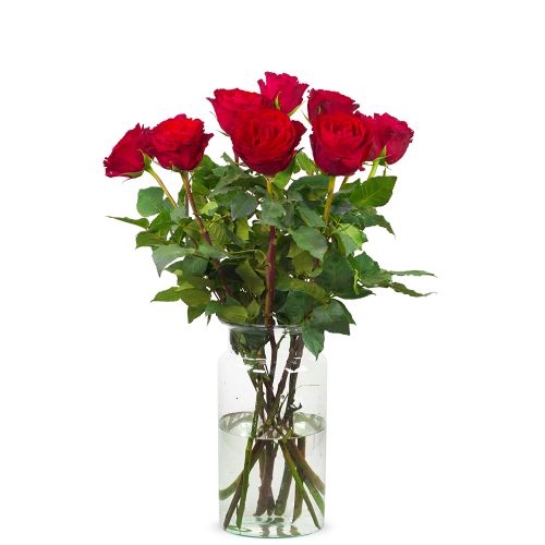 Wunderschöne rote Rosen (klein)