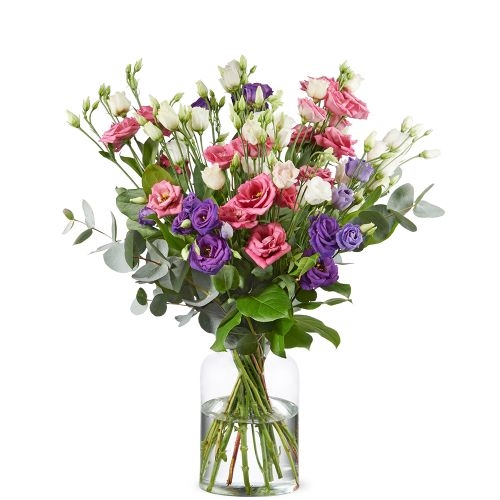 Lila und rosa Lisianthus (Klein)