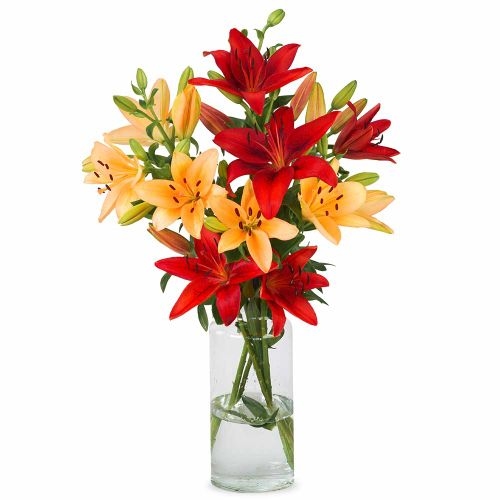 Lilien - Warme Mischung (Klein)