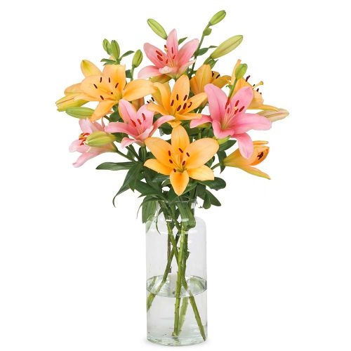 Lilies - Soft mix (Small)