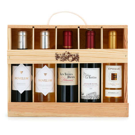 Schachtel mit 5 Bordeaux- und Dordogne-Weinen