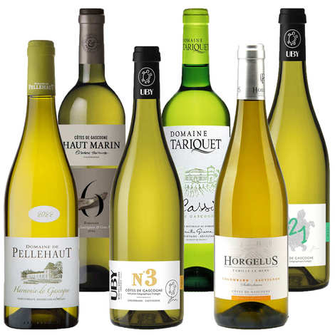 6 trockene und fruchtige Weißweine aus der Gascogne