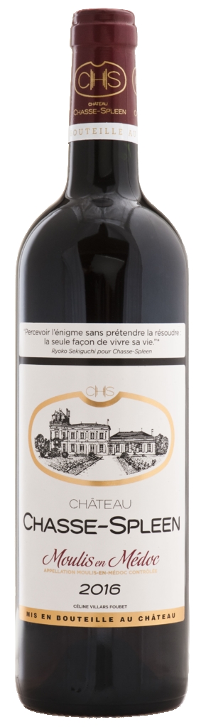 Château Chasse Spleen - Cru Bourgeois 2019 Moulis-en-Medoc - aoc