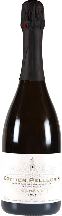 Cottier 2017 Genf