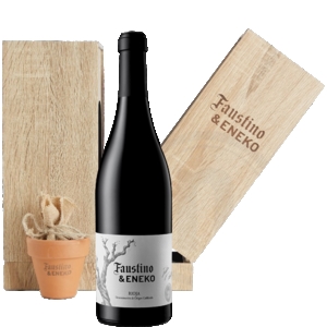 Faustino &amp; Eneko 2016 Rioja - doca