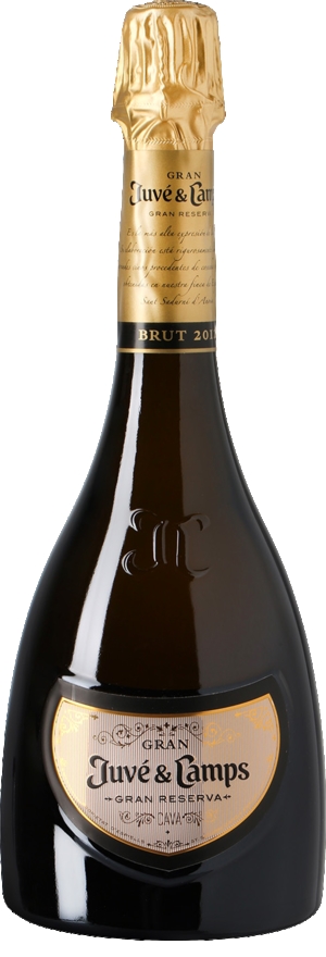 Gran Reserva - Brut 2016 Cava - do