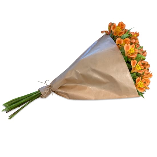 Bündel Orangen-Alstroemeria