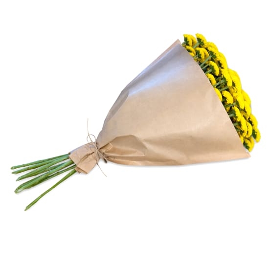 Bündel gelber Chrysanthemen