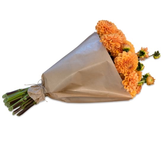 Bündel orangefarbener Dahlien