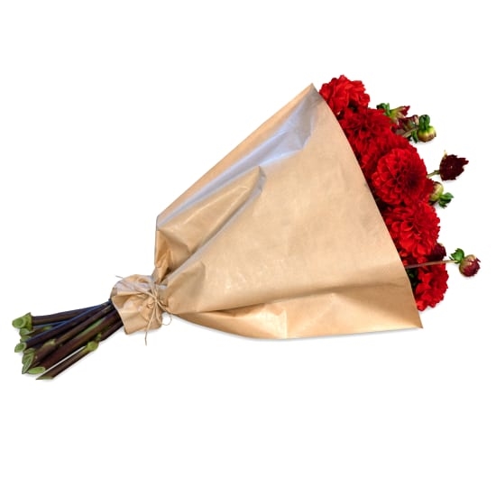 Bündel roter Dahlien