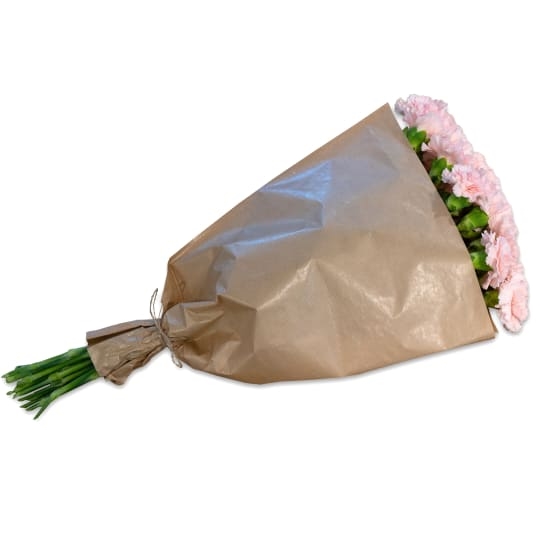 Bündel Rosa Gartennelken