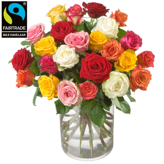 Rosenstrauß (24 Rosen) mit Fairtrade Max Havelaar-Rosen - Kleine Blüten