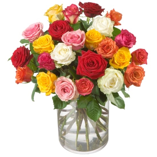 Bunter Rosenstrauß (24 Rosen)