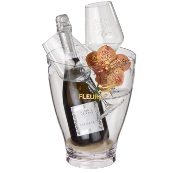 Natürliche Eleganz: Prosecco Albino Armani Doc (75 Cl) Inkl. Eiskübel und zwei "Kenner" -Gläser