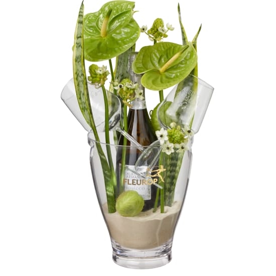 Exotisches Paradies mit Prosecco Albino Armani DOC (75 cl) inkl. Eiskübel und zwei „Connaisseur“-Gläser