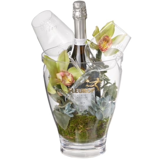 Im Einklang mit der Natur: Prosecco Albino Armani Doc (75 Cl) Inkl. Eiskübel und zwei "Connaisseur" -Gläser