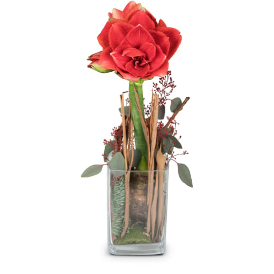 Dame in Rot (Standard)