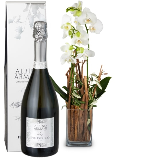 Magic (Orchidee mit Vase) und Prosecco Albino Armani DOC (75 cl)