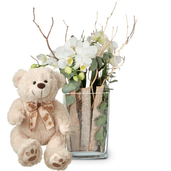 Lebensstil (Orchidee in einer Vase) mit Teddybär