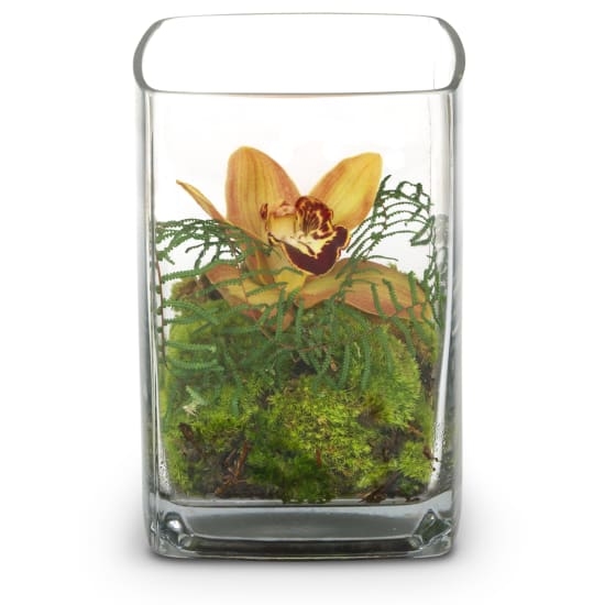 Exotisch