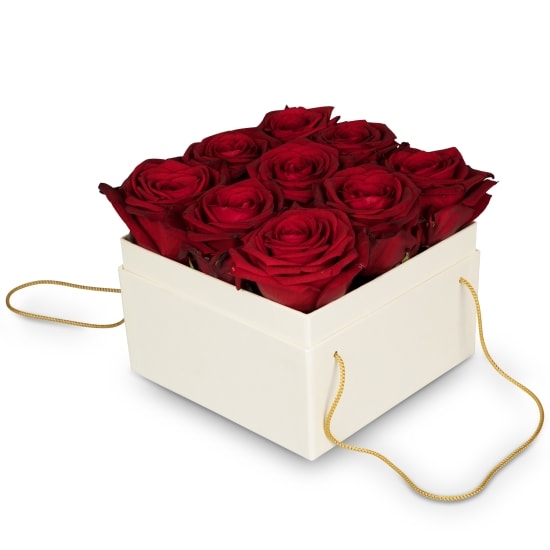 Blumenkasten «Venedig» (15 cm)