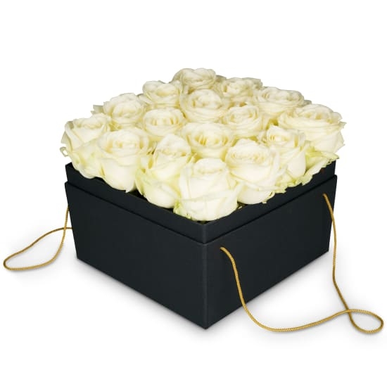 Blumenkasten «Florenz» (20 cm)