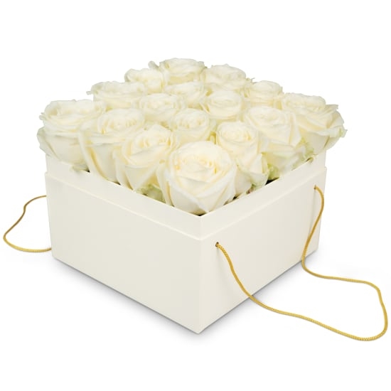 Blumenkasten „Athen“ (20 cm)