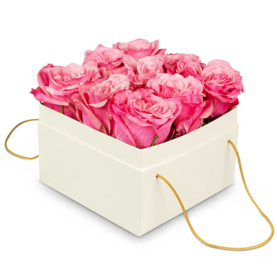 Blumenkasten «Luzern» (15 cm)