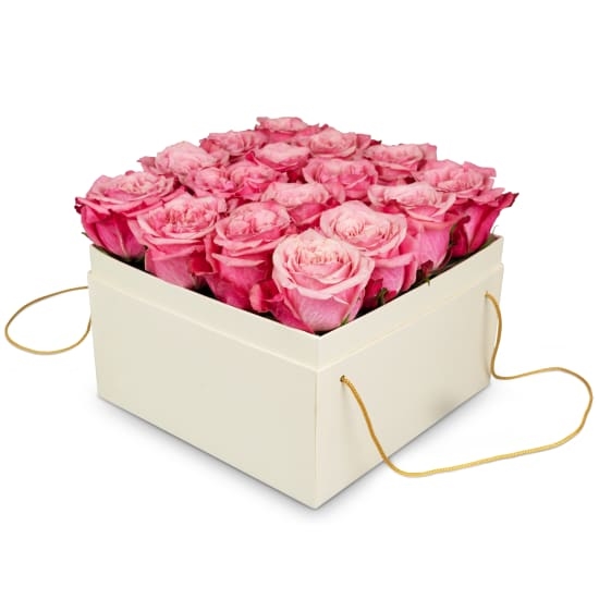 Blumenkasten «Luzern» (20 cm)